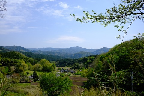 DSCF4679sh