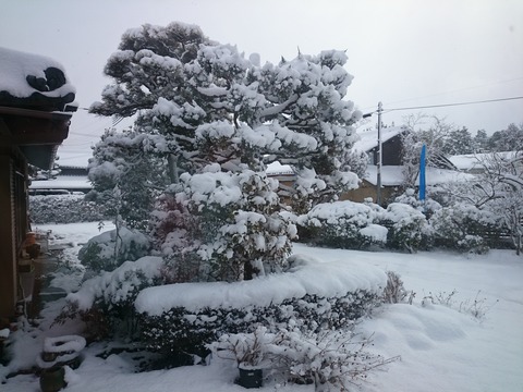 雪景色西田秀治後援会ブログ (3)