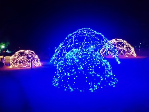 妹背の里 らいたんフェス (2)
