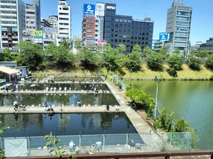 IMG20250503111614