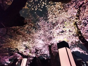 IMG_20250401_003531
