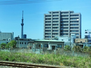 IMG_20250503_114052