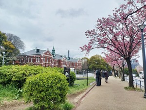 IMG_20250401_004028