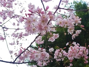 IMG_20250331_211423