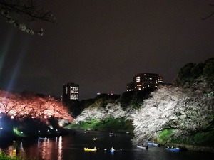 IMG_20250401_003232
