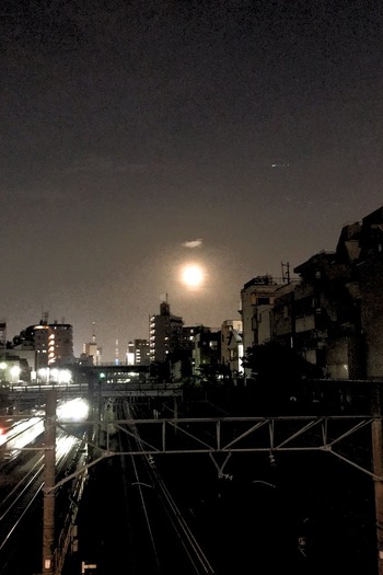 写真 2019-08-16 19 57 56
