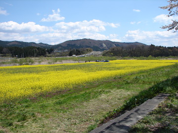 DSC00043