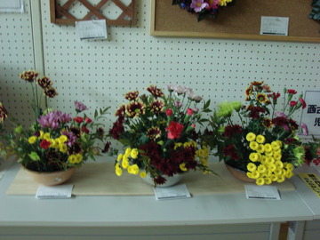 DSC03655