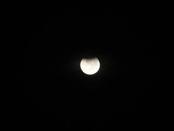 DSC00911