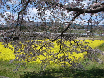 DSC00061