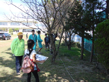 DSC03549