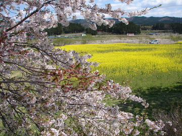 DSC00042