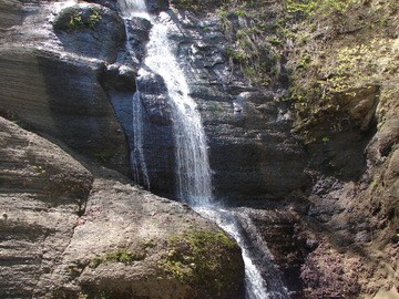 DSC00046