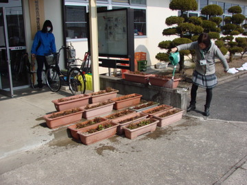 DSC07668