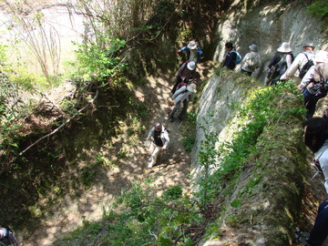 DSC07943