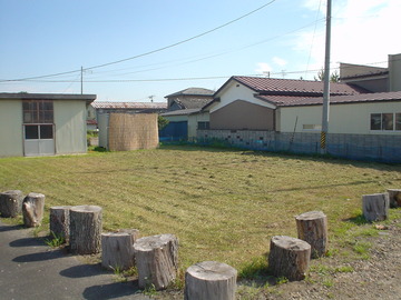 DSC05786