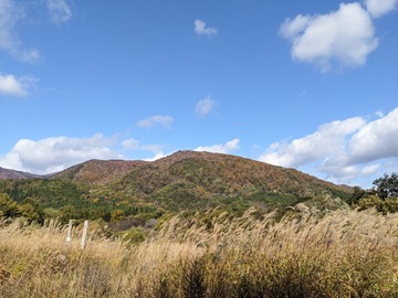 PXL_20201029_014006033