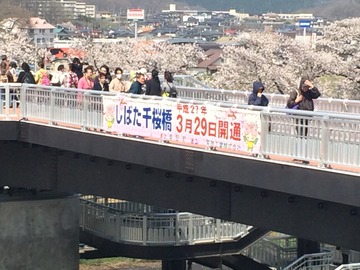 蜀咏悄 2015-04-16 13 03 46