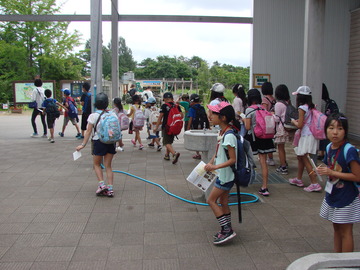 DSC03055