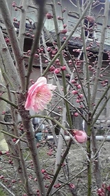 22ǯ���߳���