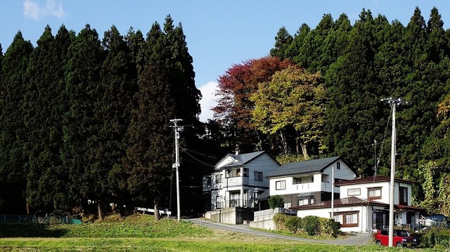 s-1024a6DSC01479 (2)