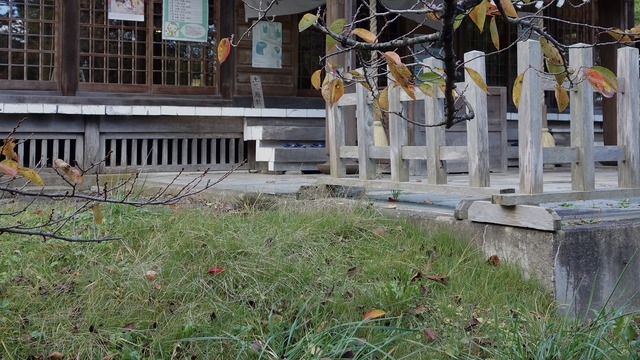 s-1024DSC06798x