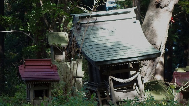s-1024DSC06862x