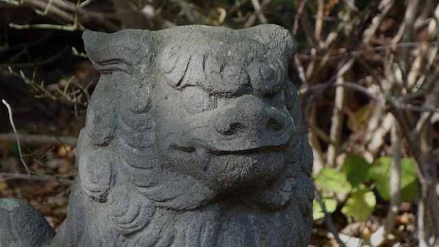 s-1024DSC06865x