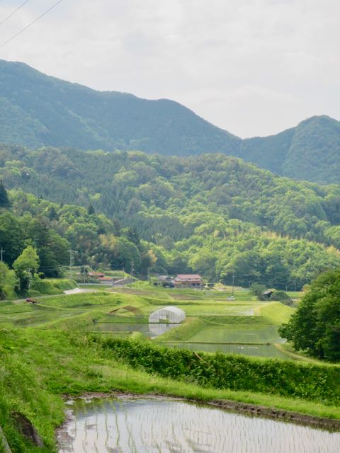 6景観 - 1