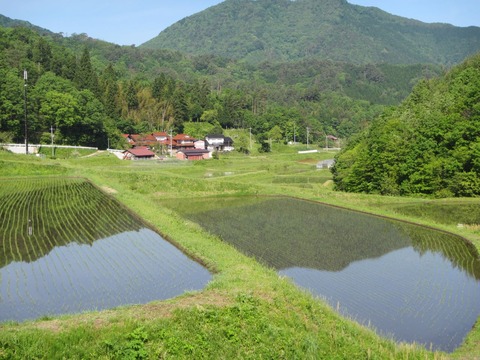uyama