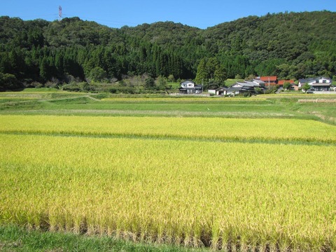 うちの集落2 (1)