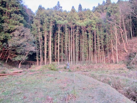 IMG_0772のコピー (1)