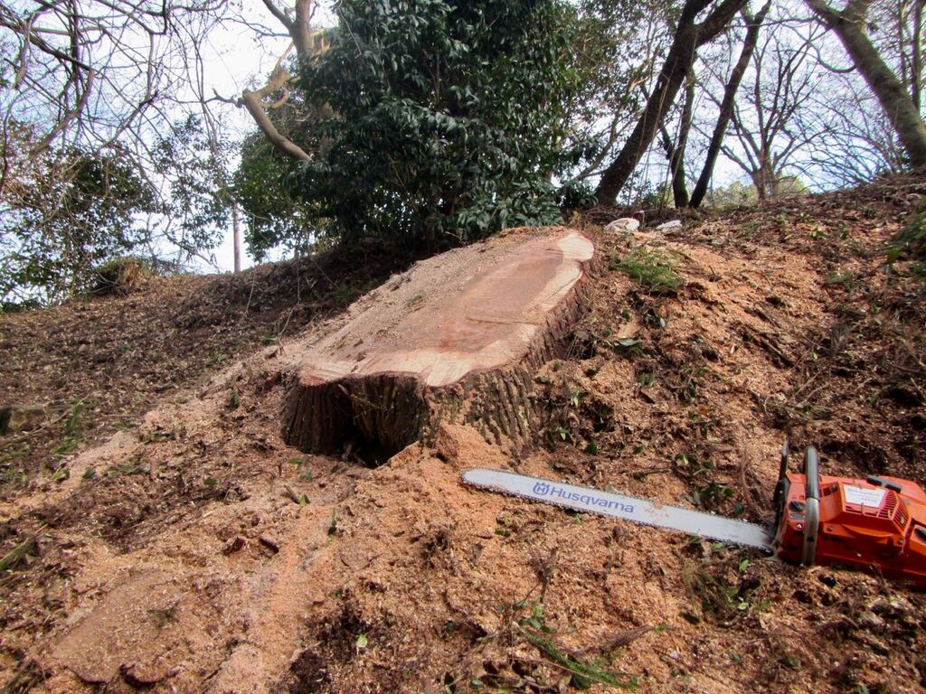 便利なハスクのポールソー ４m高枝チェンソー 530ipt5を楽に使うためのツリーワーク用ランヤード 530ipt5重てえ 島根 山守network