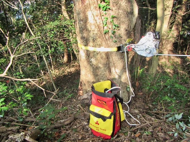 市民向け広葉樹伐採ワークショップ in 雲南市：高強度繊維ロープ