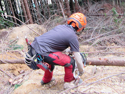 4tanba32