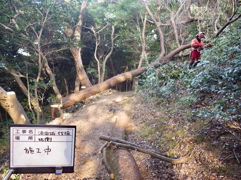 RIMG0133のコピー (1)