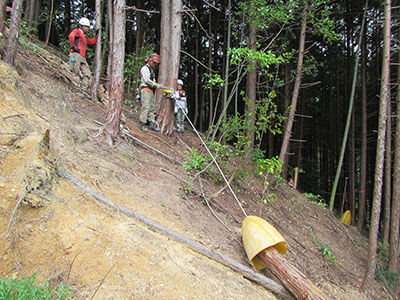 4tanba20
