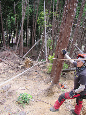 4tanba27