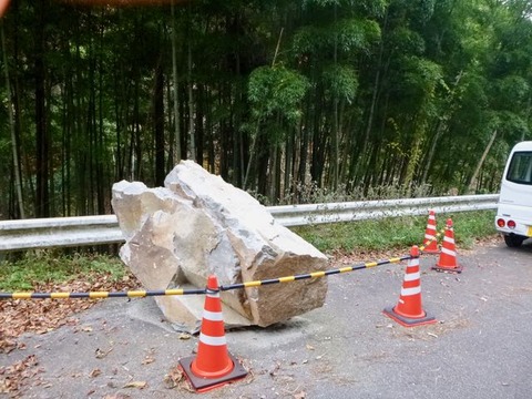 P1030329 (1)