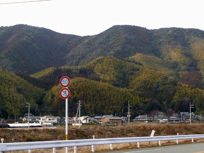 徳島竹林