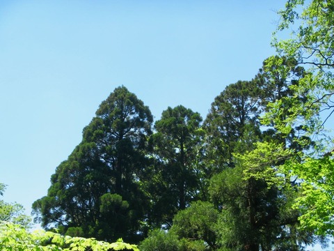 IMG_9323のコピー (1)