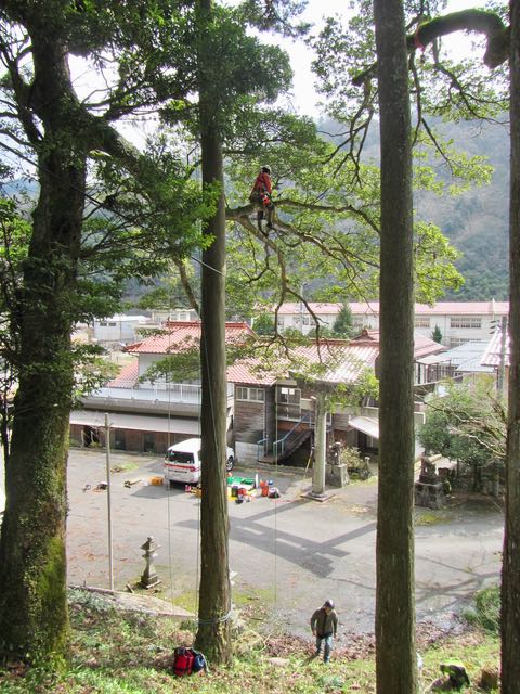 IMG_1301(1)
