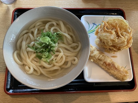 ママだって子連れランチ楽しみたい 西葛西おすすめ人気店まとめ