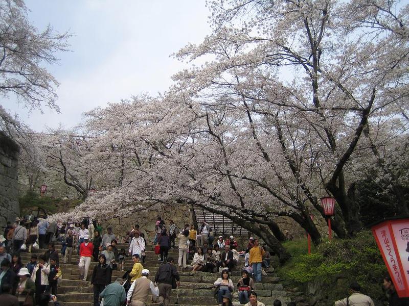 鶴山公園 女将 西遊嬉 Saiyuki