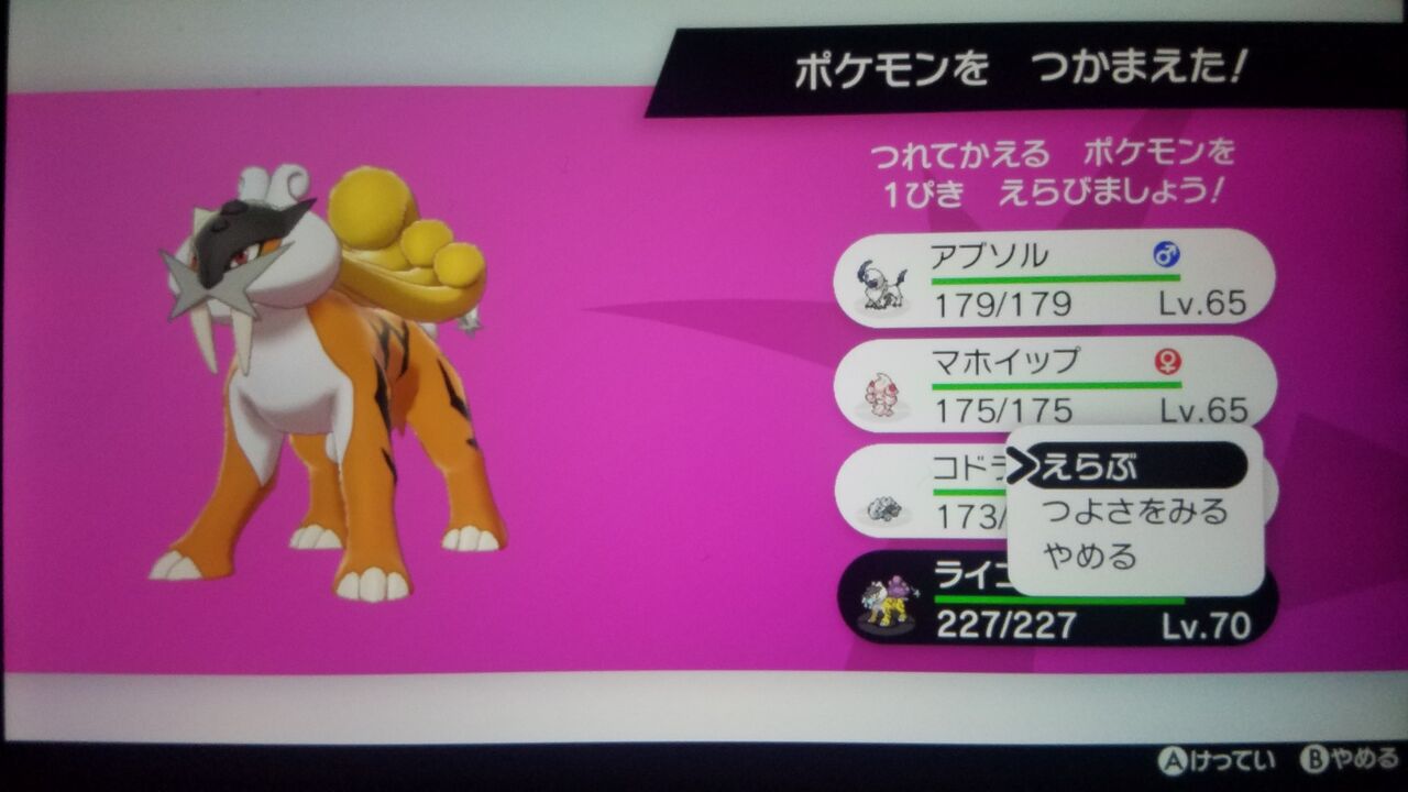 色違いライコウ アーサー木実のblog