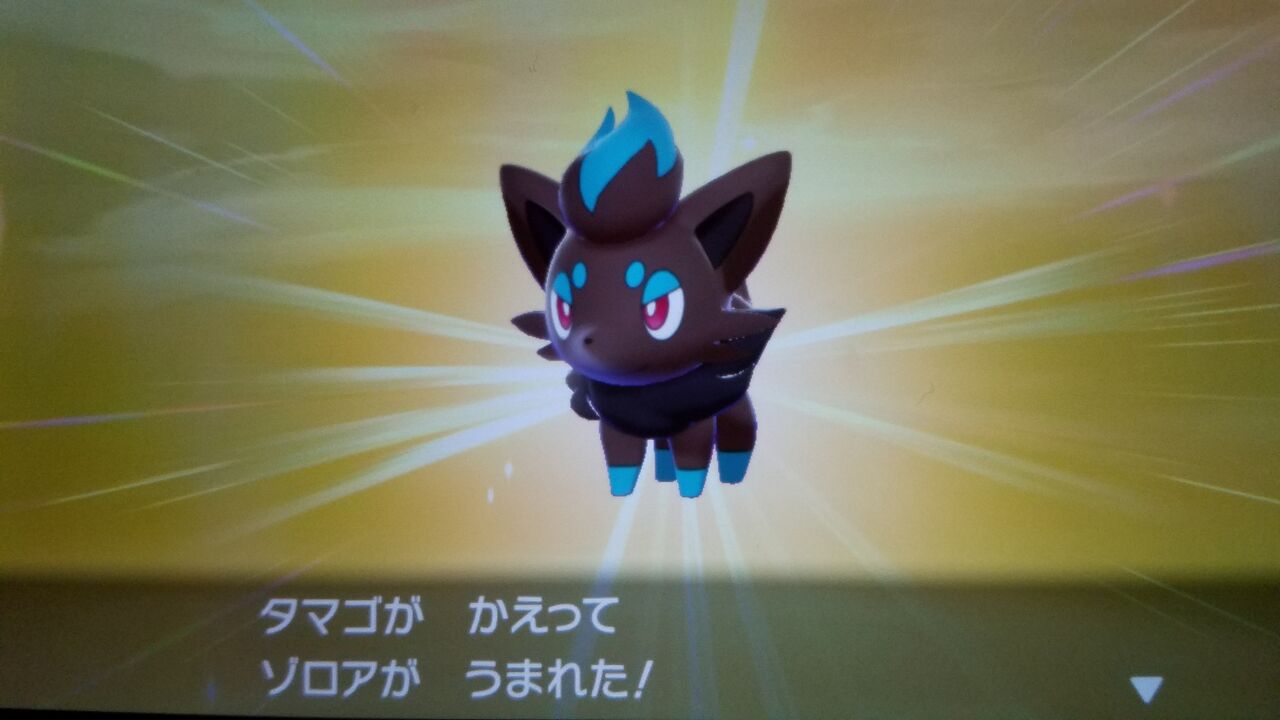 色違いゾロア アーサー木実のblog