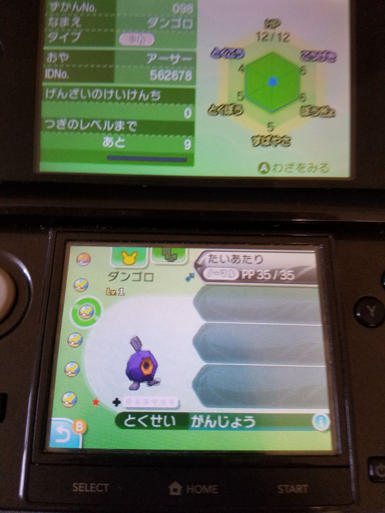 色違いダンゴロ アーサー木実のblog