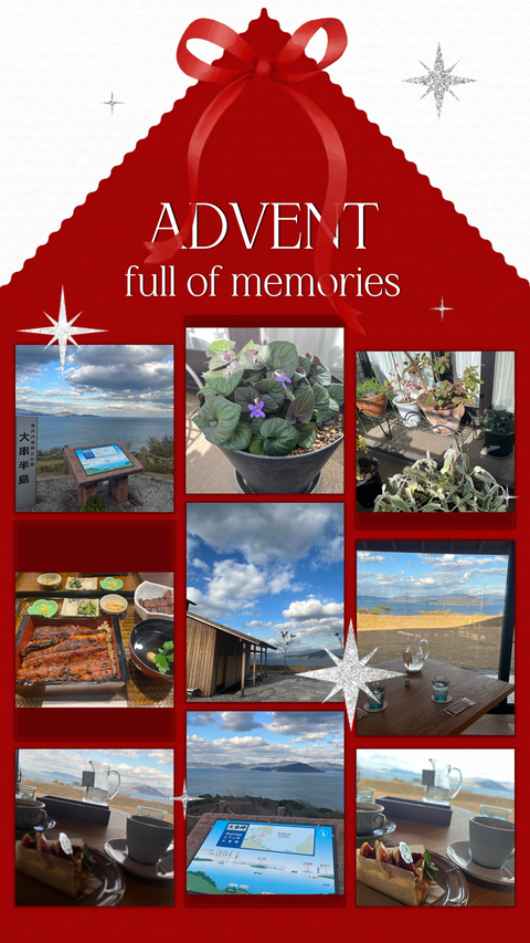 E823411C-7B31-48ED-9597-9ACE09AE0DA7