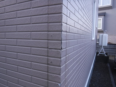 DSCF2981