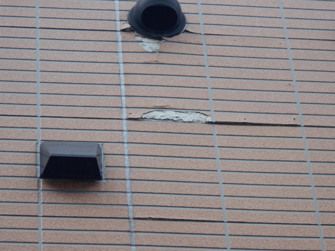 DSCN0272